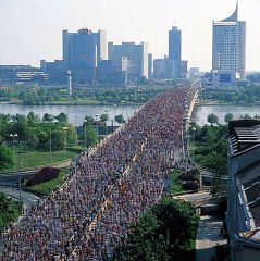 bécsi maraton és félmaraton futók a hídon