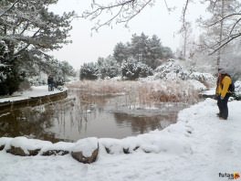 Japánkert télen a Margitszigeten