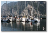 Lake Garda - Garda-tó vitorlás hajók a kikötőben