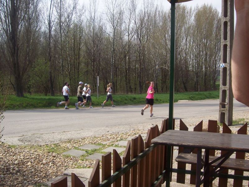 Tóparti futóparti futás Agárd Velencei-tó 38.jpg Julcsi tovább fut