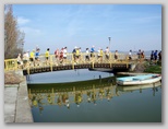 Tóparti futóparti futás Agárd Velencei-tó Futás a hídon 2