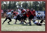 Budapest Wolves American Futball Club budapest_wolves_american_football_club_2238.jpg
