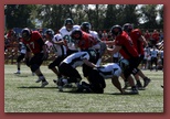 Budapest Wolves American Futball Club budapest_wolves_american_football_club_2239.jpg