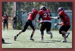 Budapest Wolves American Futball Club budapest_wolves_american_football_club_2242.jpg