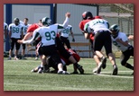 Budapest Wolves American Futball Club budapest_wolves_american_football_club_2267.jpg