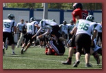 Budapest Wolves American Futball Club budapest_wolves_american_football_club_2269.jpg