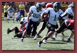 Budapest Wolves American Futball Club budapest_wolves_american_football_club_2283.jpg