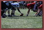 Budapest Wolves American Futball Club budapest_wolves_american_football_club_2286.jpg