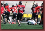 Budapest Wolves American Futball Club budapest_wolves_american_football_club_2320.jpg