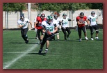 Budapest Wolves American Futball Club budapest_wolves_american_football_club_2378.jpg