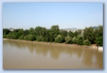 Duna áradása Budapesten Margitsziget