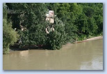Duna áradása Budapesten Duna a Margitszigeten