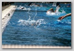Margitszigeti Triatlon Úszás Széchy Tamás uszoda fröccsen a víz