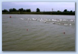 Szeged Csavarker Triatlon Sprint úszók élmezőny