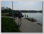 IV. Tóparti Futóparti Velencei-tó kör futás toparty_futoparty_futas_981.jpg