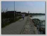IV. Tóparti Futóparti Velencei-tó kör futás toparty_futoparty_futas_988.jpg