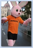 Budapest Half Marathon Duracell nyuszi, rózsaszín nyúl Nike pólóban fut