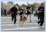Vivicittá futóverseny Budapest futás kutyával
