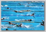 Úszás uszodában Hajós Alfréd Nemzeti Sportuszoda Széchy Tamás uszoda medence