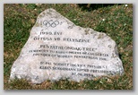Hajós Alfréd Nemzeti Sportuszoda, Széchy Tamás uszoda 1999 évi Öttusa Világbajnokság Helyszíne - Margitsziget