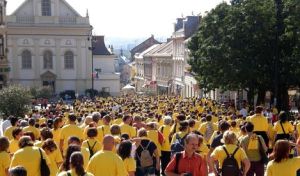 fuss a rákgyógyításért jótékonysági futóverseny Pécsen