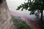 Margitszige Duna magas vízállása áradása külső szigetkör rekortánján