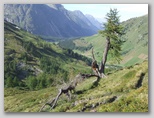 Ultra Trail du Mont-Blanc ultra_trail_du_mont_blanc_2312.jpg