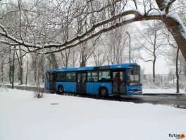 Mercedes busz a Margitszigeten