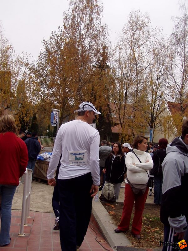 Balaton Maraton Siófok Félmaraton,balaton_maraton_2006_2002.jpg