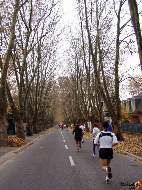 Balaton Maraton Siófok Félmaraton,balaton_maraton_2006_2043.jpg