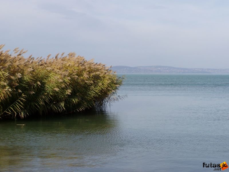 Balaton Maraton, Siófok,balaton_maraton_2006_264.jpg