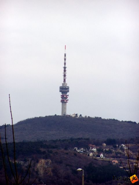 Pécs Harkány futóverseny 2006