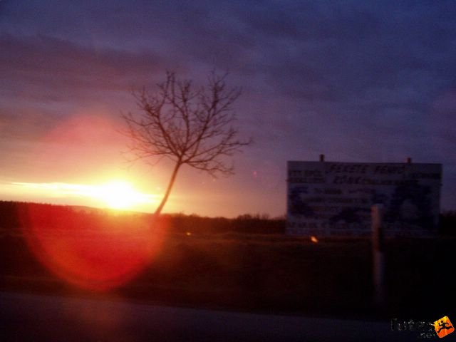 Pécs Harkány futóverseny 2006