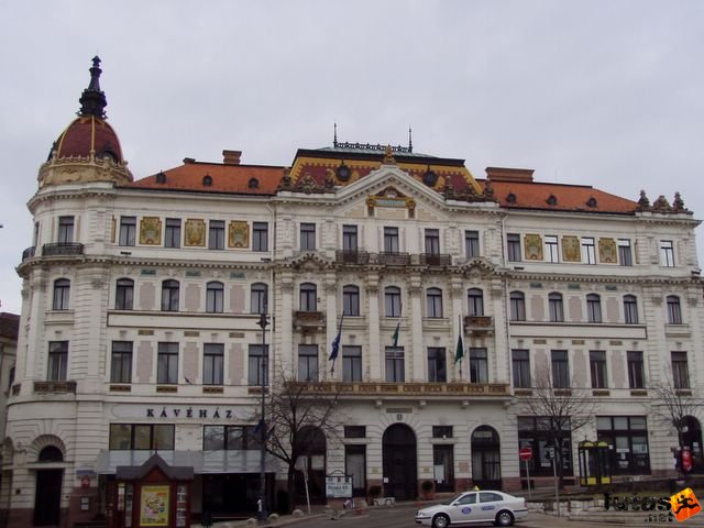 Pécs Harkány futóverseny 2006