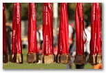 Coca Cola Női futás