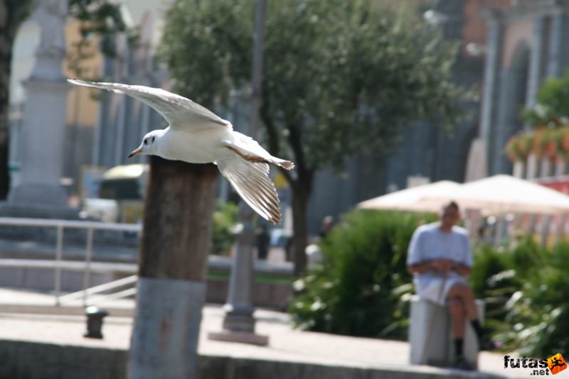 Lake Garda Marathon Italy Garda-tó