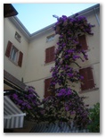 Lake Garda Marathon