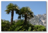 Lake Garda - Garda-tó