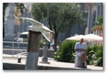Lake Garda - Garda-tó