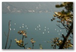Lake Garda - Garda-tó