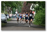 Normafa félmaraton