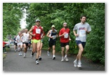 Normafa félmaraton