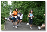 Normafa félmaraton