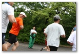 Normafa félmaraton