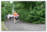 Normafa félmaraton