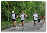 Normafa félmaraton