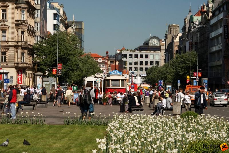 Prague Marathon