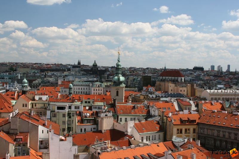Prague Marathon