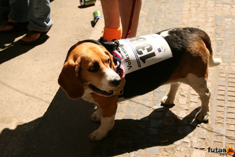 Prague Marathon