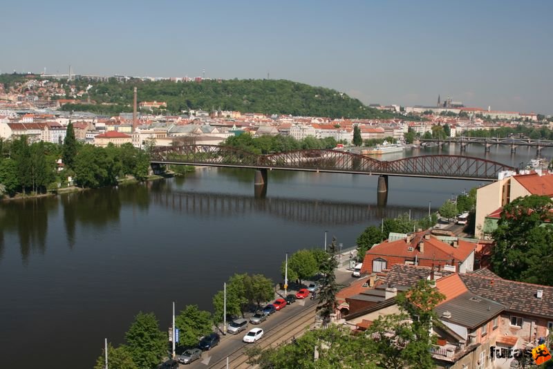 Prague Marathon - River Vltava - Moldva 